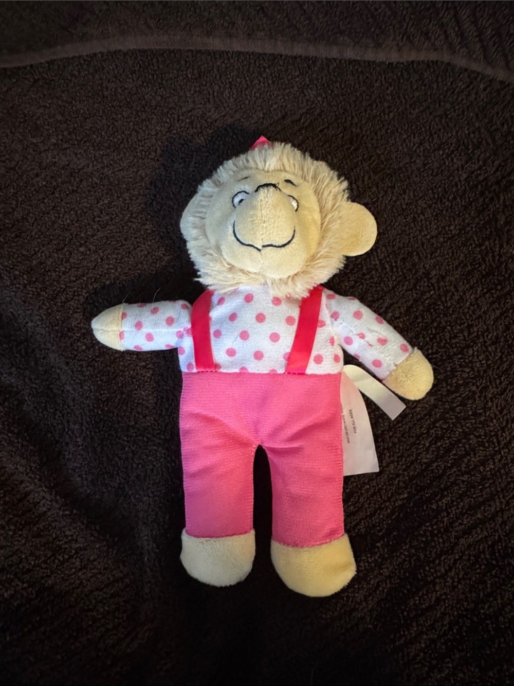 PBS Kids Berenstain Bears 9” Sister Plush (2023)